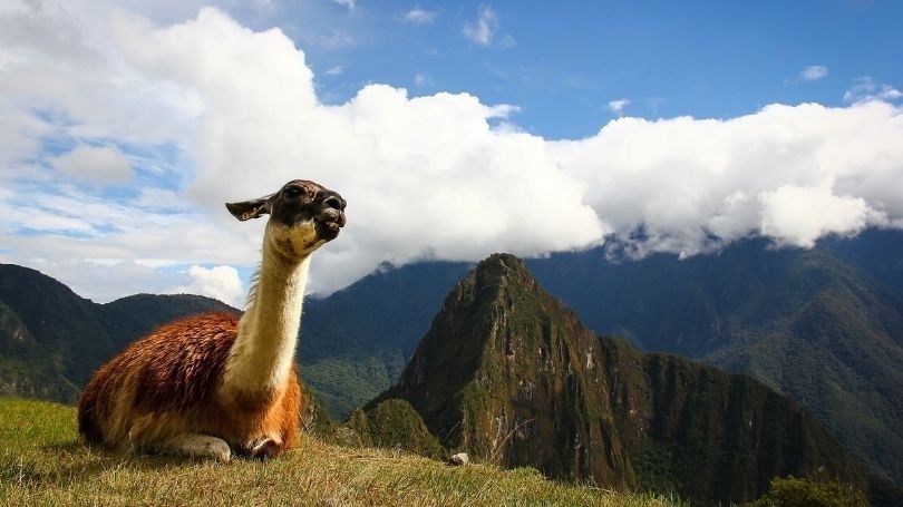 requisitos para viajar a santiago de chile desde peru